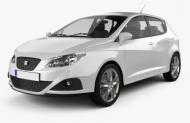 Ibiza IV Hatchback (6J5, 6P1) 2008 - 2017