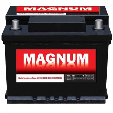 Magnum 12V 100Ah D+
