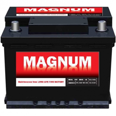 Magnum 12V45Ah L+